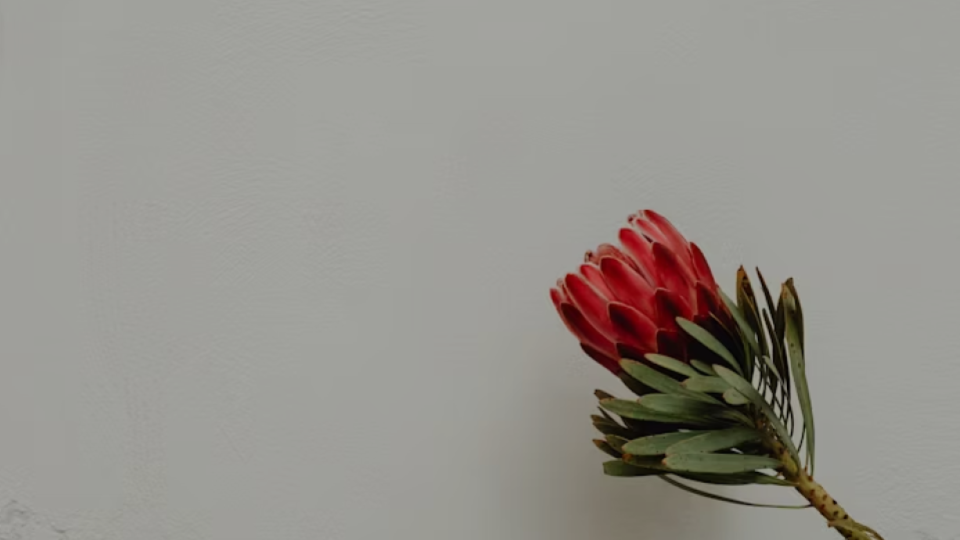 The Secret Power of Being Consistent